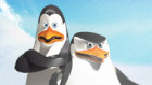 The Penguins Of Madagascar: Sub Zero Heroes