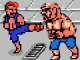 play Double Dragon Flash Fighters