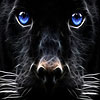 play Blue Eyed Cat Slide Puzzle