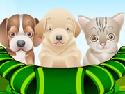Puppy And Kitten Caring Game For Girls