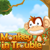 play Monkey In Trouble
