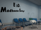 play E3D Madhouse Escape