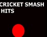 play Cricket Smash Hits