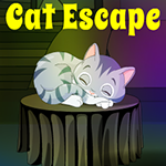 G4K Cat Escape Game