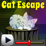 G4K Cat Escape Game Walkthrough