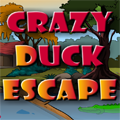 play Crazy Duck Escape
