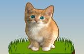 play Cat Clicker Mlg