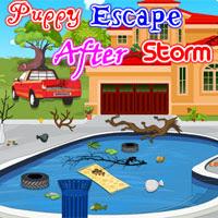 Puppy Escape After Storm