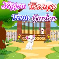 Kitten Escape From Garden