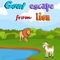 Goat Escape From Lion