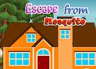 play Escape From Mosquito