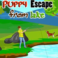 play Puppy Escape From Lake