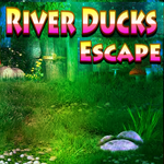 River Ducks Escape Game