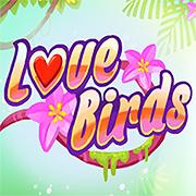 play Love Birds