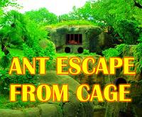 play Ant Escape From Cage