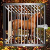 play Starving Horse Rescue Escape