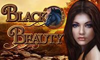 play Black Beauty