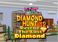 Diamond Hunt 12 Rescue The Last Diamond
