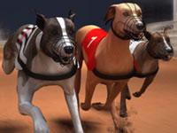 play Greyhound Racing