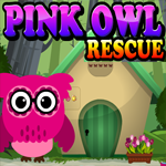 Pink Owl Rescue Escape