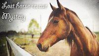 play Lost Horse Rescue Mystery Escape