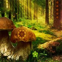 play Avmgames Fantasy Mushroom Forest Escape