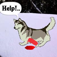 play Escape-Game-Save-The-Sled-Dog