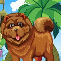 play G4K-Chow-Chow-Dog-Rescue-