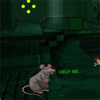play Escape Game Save The Rat