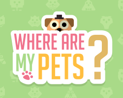 play Where Are My Pets?