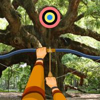 play Hidden-Targets-Wild-Trees