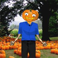Save The Pumpkin Man