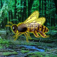 play Giant Wasp Forest Escape