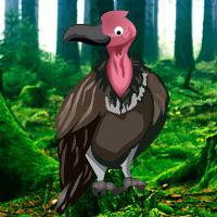 play Games2Rule Vulture Forest Escape