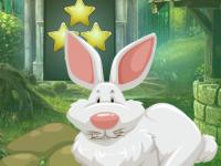 play Old Age Rabbit Escape