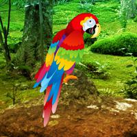 play Games2Rule-Scarlet-Macaw-Forest-Escape