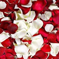 Valentine-Hidden-Rose