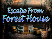 play Top10 Escape From Forest House