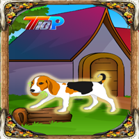 play Top10 Rescue The Cute Dog