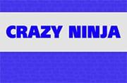 play Crazy Ninja - Play Free Online Games | Addicting