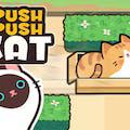 Push Push Cat