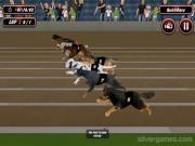 play Crazy Dog Racing Simulator Games 3D