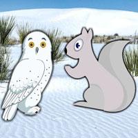 play Wow-Owl Friend Escape Html5