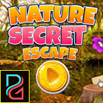 play Pg Nature Secret Escape