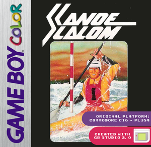play Canoe Slalom