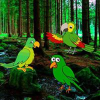 play G2R-Escape From Parrot Forest
