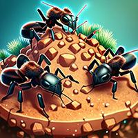 play Ant Colony