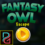 play Pg Fantasy Owl Escape