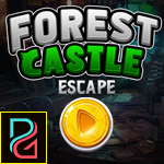 play Pg Forest Castle Escape