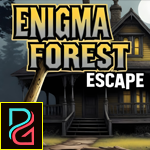 play Enigma Forest Escape